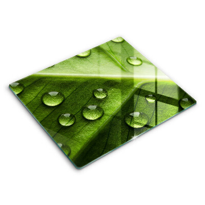 Spisskyddsplatta unik Natur dagg och löv