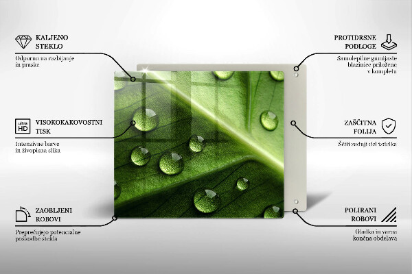 Spisskyddsplatta unik Natur dagg och löv
