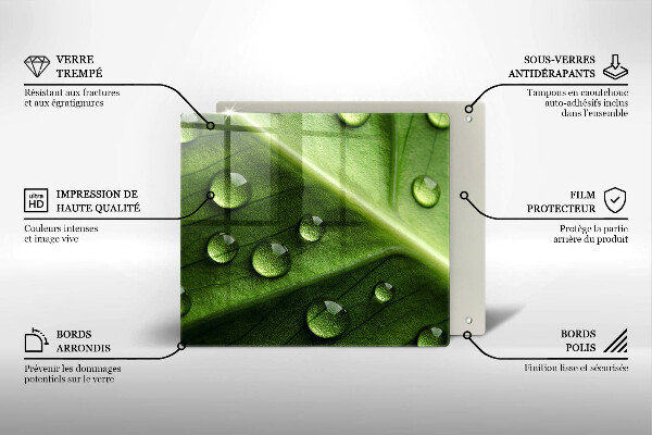 Spisskyddsplatta unik Natur dagg och löv