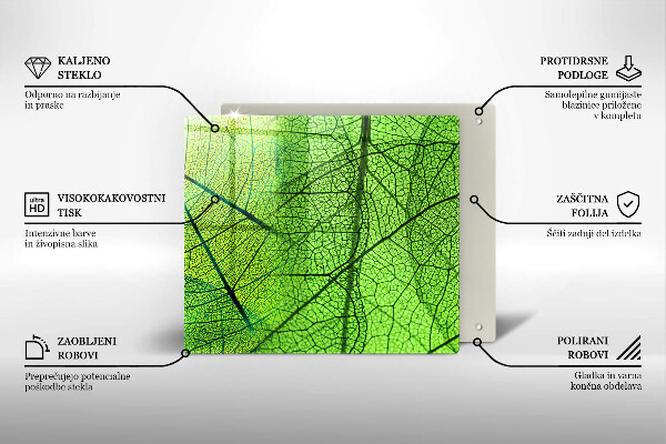Glashällskydd unik Natur löv vener