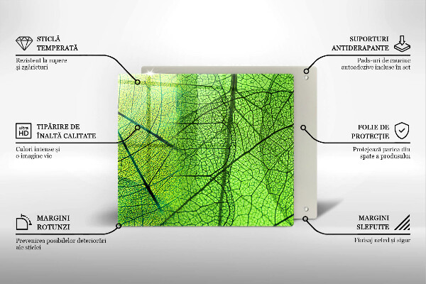 Glashällskydd unik Natur löv vener