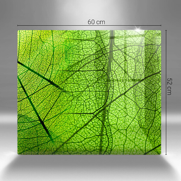 Glashällskydd unik Natur löv vener