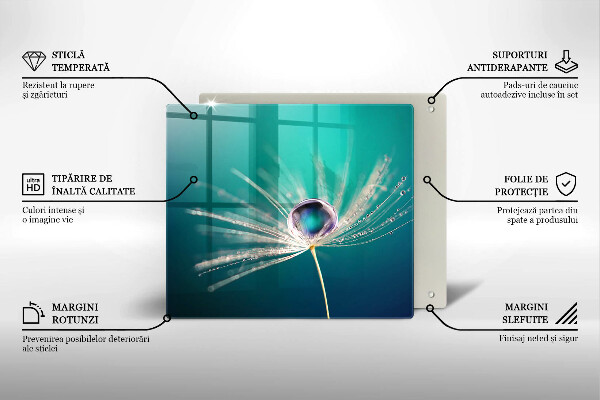 Skydd för induktionsspis unik Dagg på en maskros