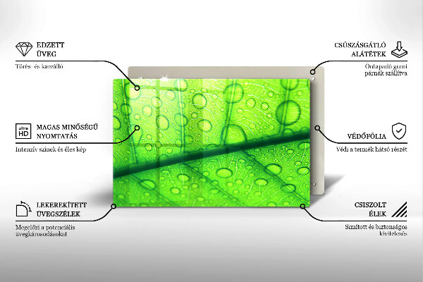 Skydd för induktionsspis elegant Närbild av ett löv