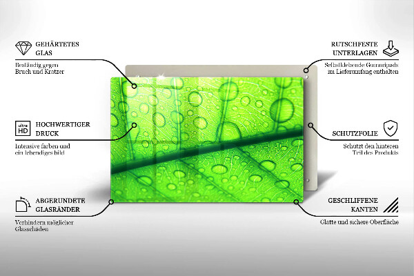 Skydd för induktionsspis elegant Närbild av ett löv