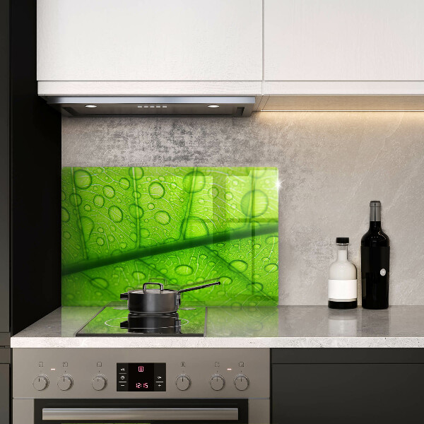 Skydd för induktionsspis elegant Närbild av ett löv