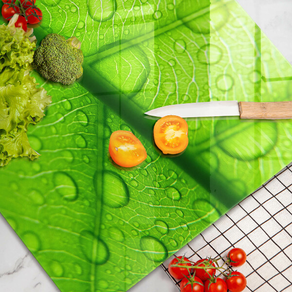 Skydd för induktionsspis elegant Närbild av ett löv