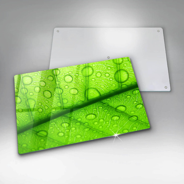 Skydd för induktionsspis elegant Närbild av ett löv