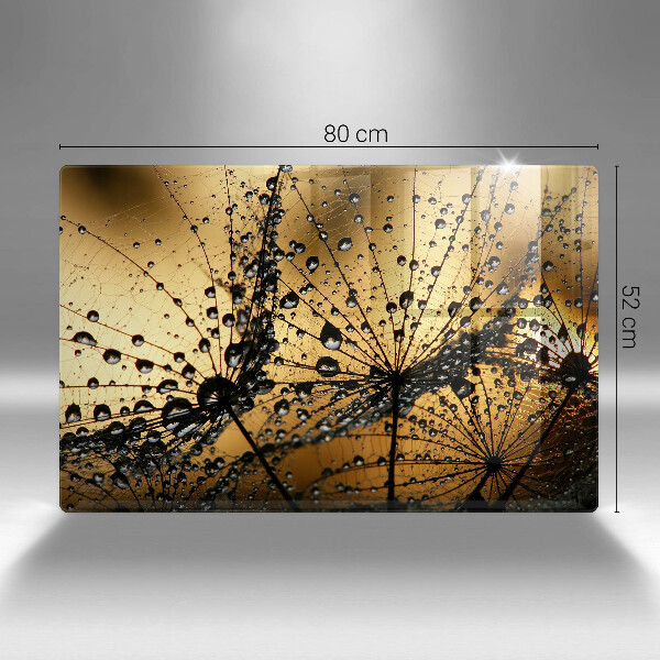 Spisskyddsplatta elegant Dagg och maskrosor