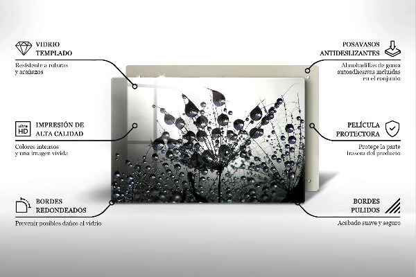Spisskyddsplatta elegant Maskrosor och dagg