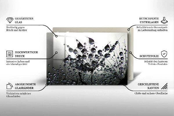 Spisskyddsplatta elegant Maskrosor och dagg