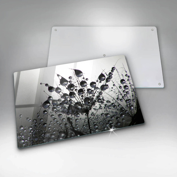 Spisskyddsplatta elegant Maskrosor och dagg