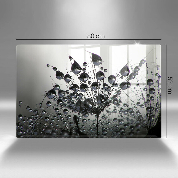 Spisskyddsplatta elegant Maskrosor och dagg