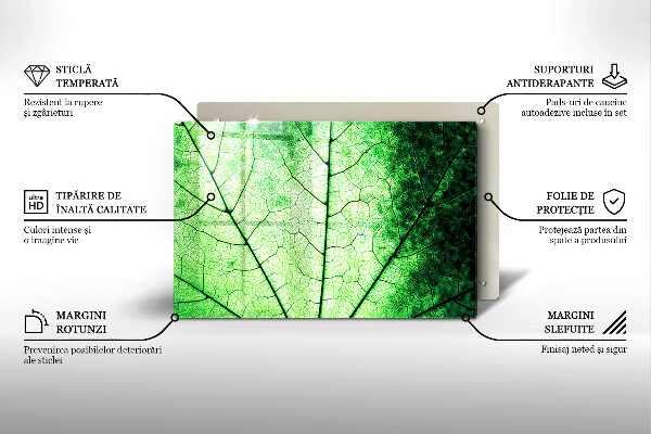 Spisskyddsplatta elegant Dekorativt ådroblad