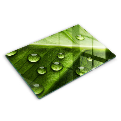 Spisskyddsplatta elegant Natur dagg och löv