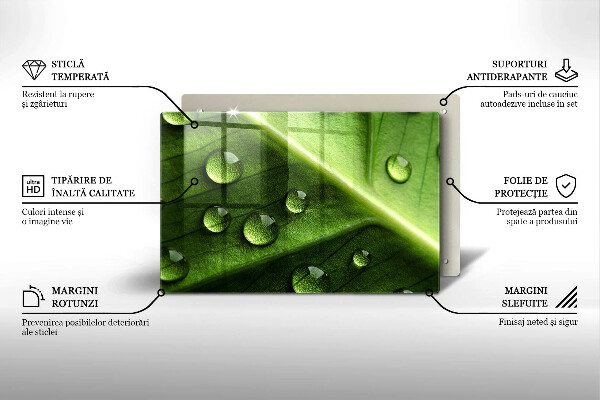 Spisskyddsplatta elegant Natur dagg och löv