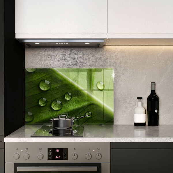 Spisskyddsplatta elegant Natur dagg och löv