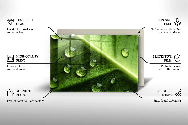 Spisskyddsplatta elegant Natur dagg och löv