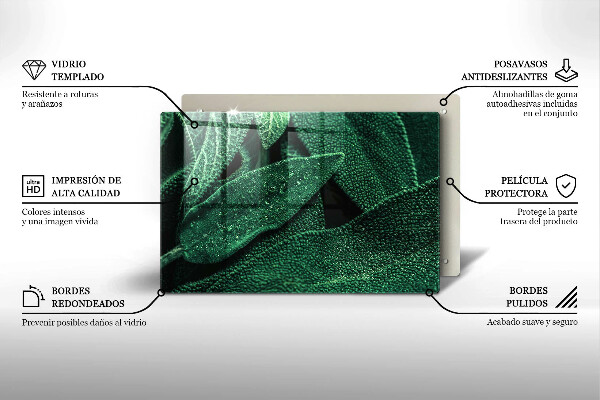 Glashällskydd elegant Växtens blad