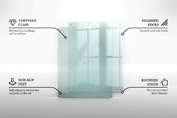 Skydd för spis transparent 2x40x52 cm