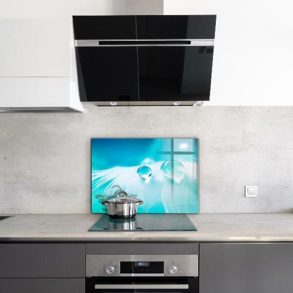 Stänkskydd kök Dagg på ömtålig fjäder