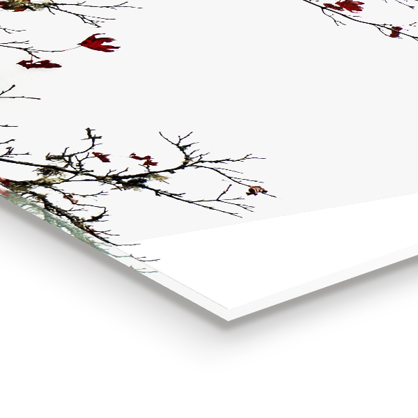 Stänkskydd kök Landskap Sinnesro