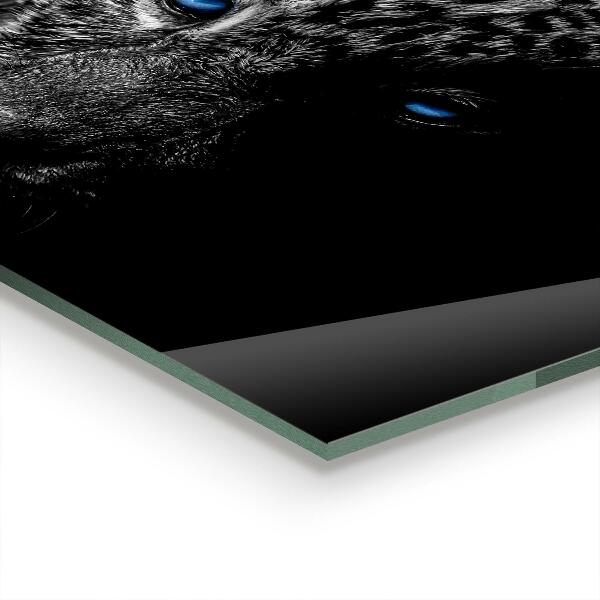 Stänkskydd kök Dark Panther Wildcat