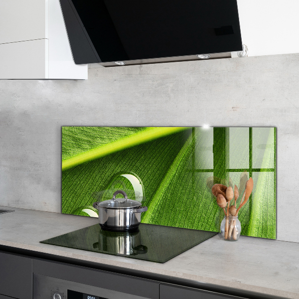 Stänkskydd kök Daggdroppe på ett löv