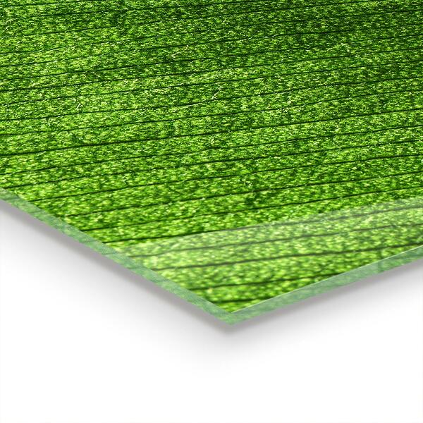 Stänkskydd kök Daggdroppe på ett löv