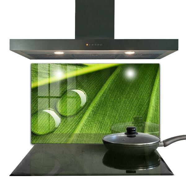 Stänkskydd kök Daggdroppe på ett löv