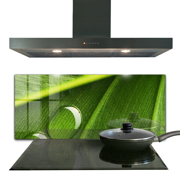 Stänkskydd kök Daggdroppe på ett löv