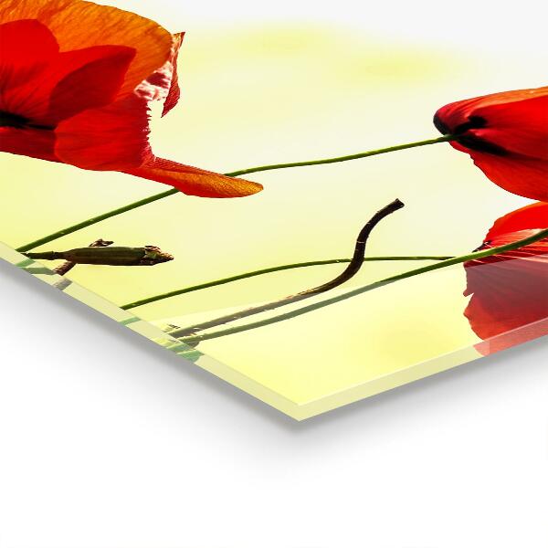 Stänkskydd kök Åkeräng med röda vallmo