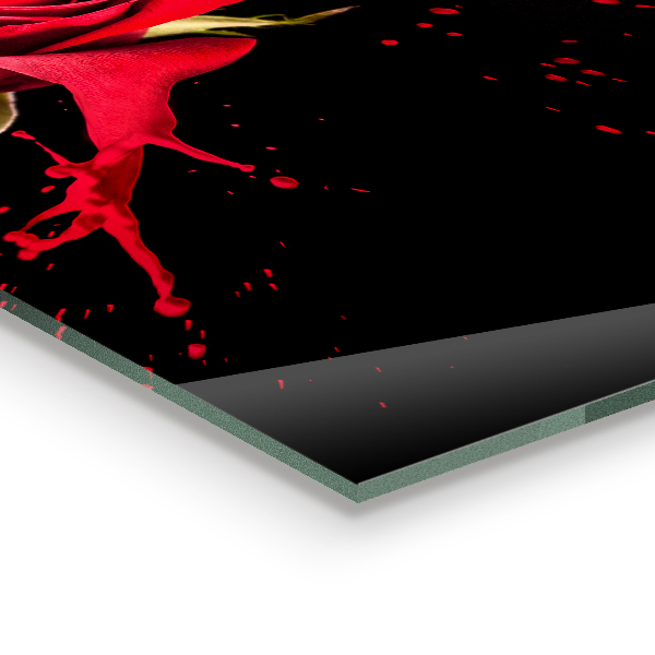 Stänkskydd kök Röd ros abstrakt