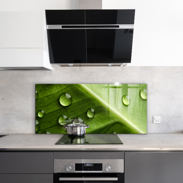 Stänkskydd kök Blad med droppar morgondagg