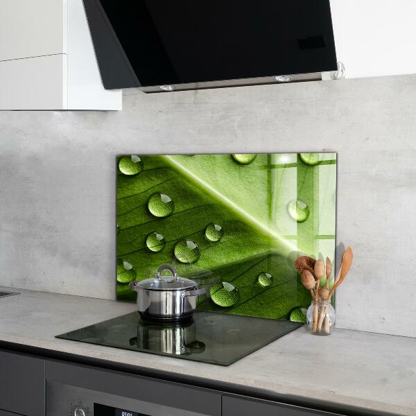 Stänkskydd kök Blad med droppar morgondagg