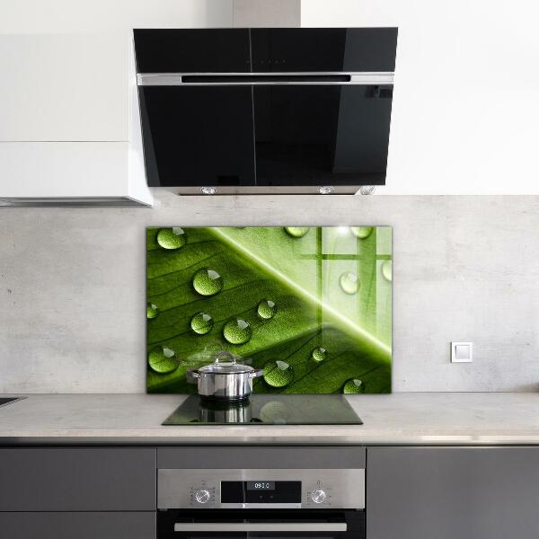 Stänkskydd kök Blad med droppar morgondagg