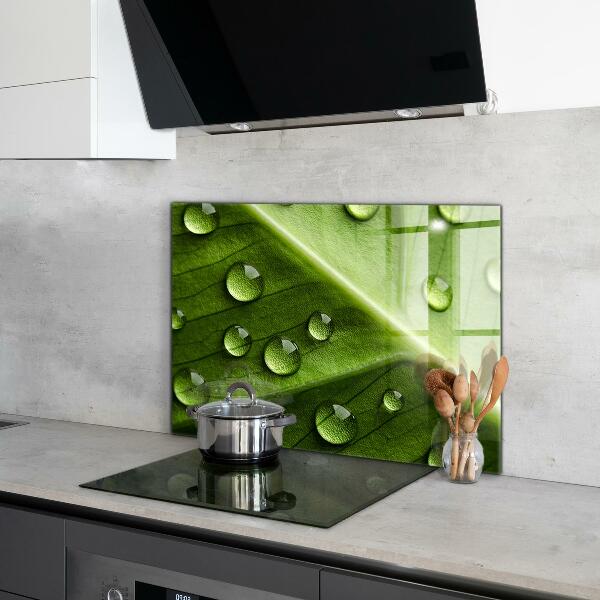 Stänkskydd kök Blad med droppar morgondagg