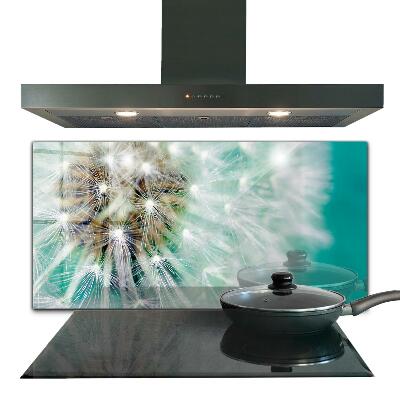 Stänkskydd kök Maskros i vindanläggningen