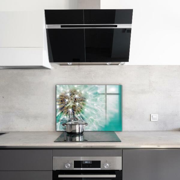 Stänkskydd kök Maskros i vindanläggningen