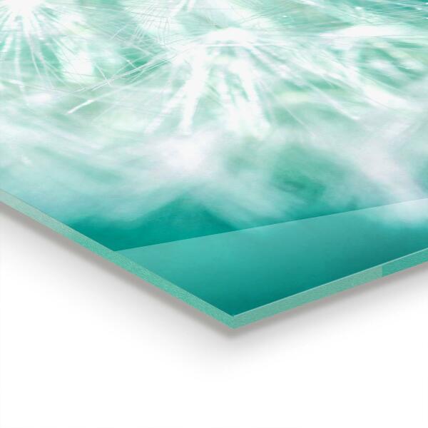 Stänkskydd kök Maskros i vindanläggningen