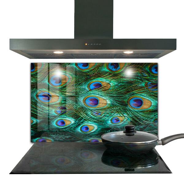 Stänkskydd kök Påfågelfjädrar vacker natur