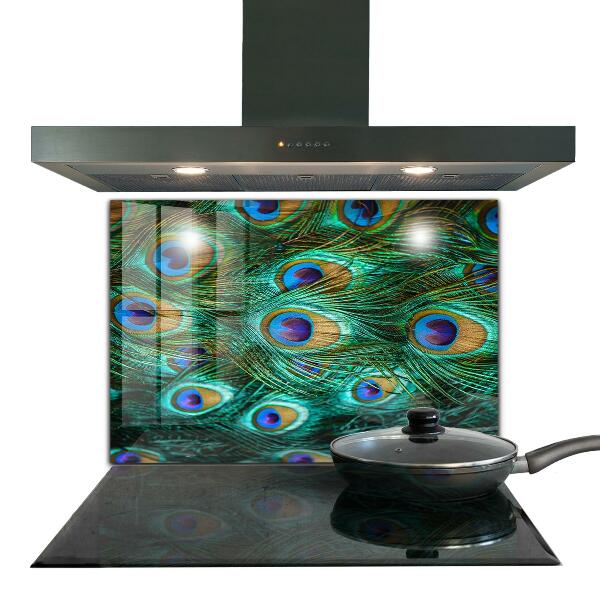 Stänkskydd kök Påfågelfjädrar vacker natur