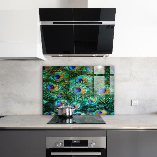 Stänkskydd kök Påfågelfjädrar vacker natur