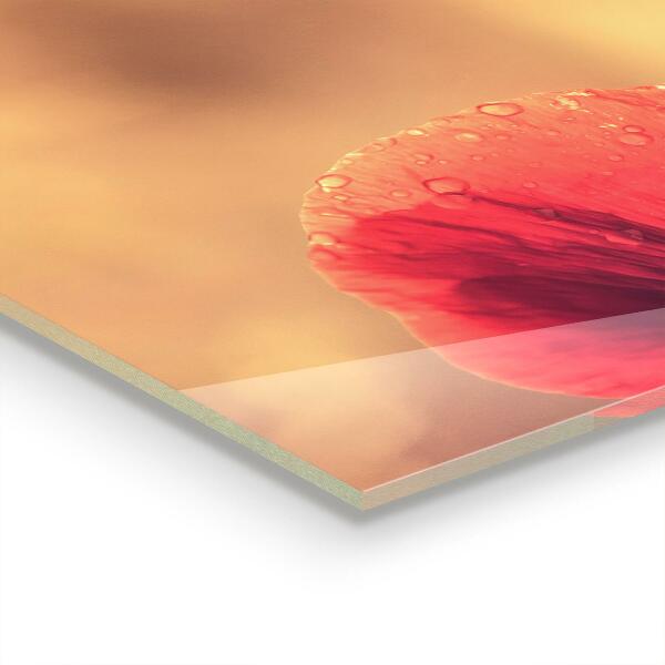 Stänkskydd kök Vintage vallmoväxt