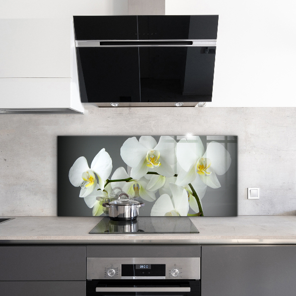 Stänkskydd kök Vit orkidé på svart bakgrund