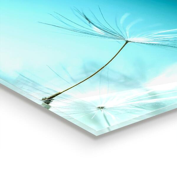 Stänkskydd kök Maskros Maskros i vinden