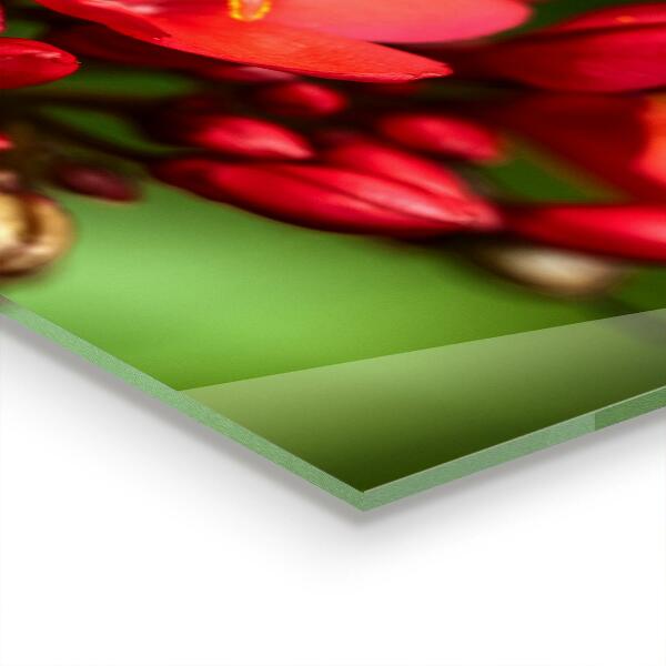 Stänkskydd kök Blommande blomknoppar