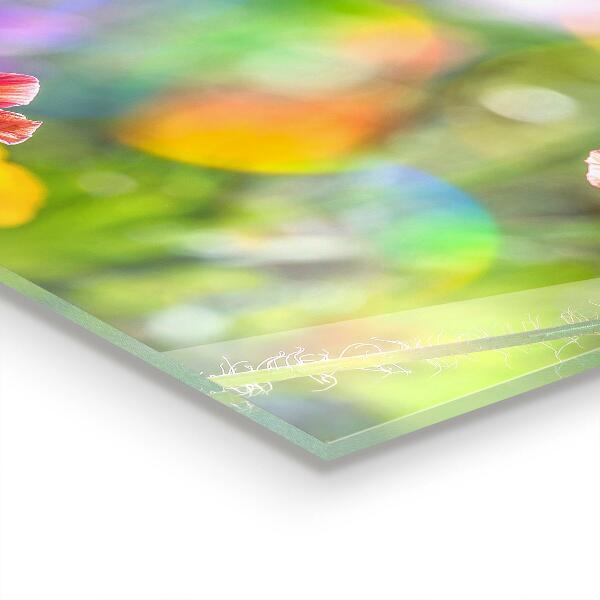 Stänkskydd kök Sommaräng av vallmo