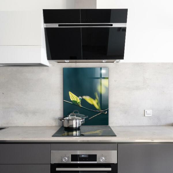 Stänkskydd kök Glänsande blad på gren