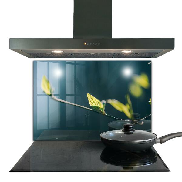 Stänkskydd kök Glänsande blad på gren